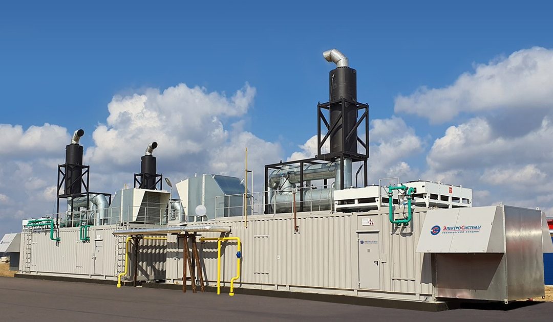 Voronezhskiy Champignon, Russia