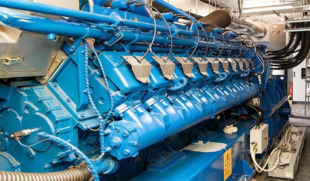 Zapadny Cold Storage Facility, Adygea Republic, Russia