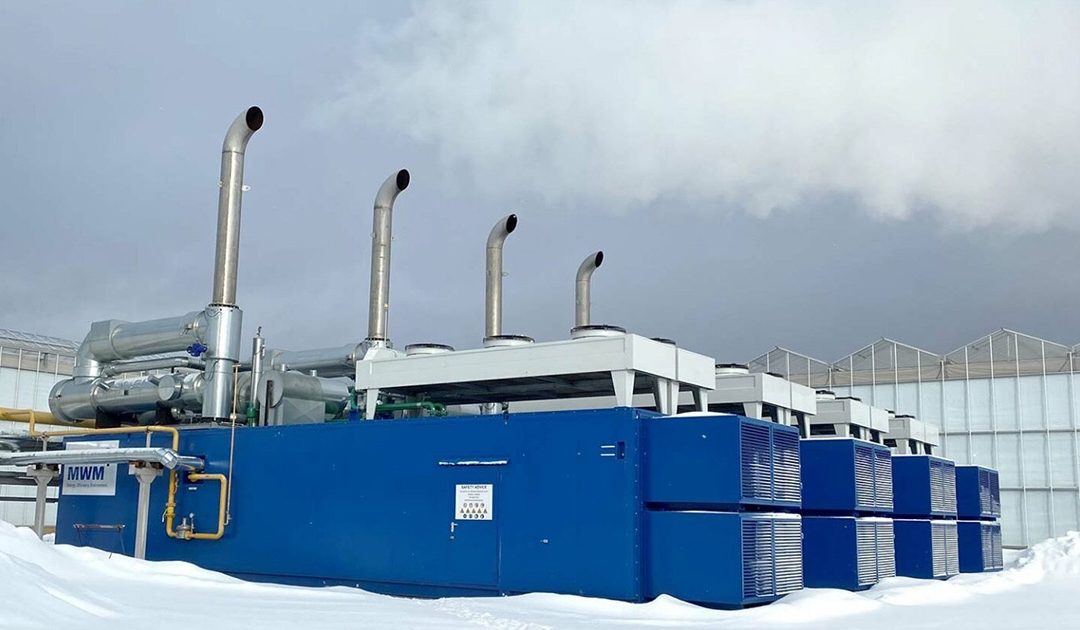 Turovskiy Greenhouse Complex, Moscow Region, Russia